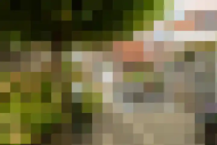 Molhuysenstraat 7 Vught thumbnail 4
