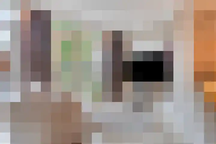 Molièrelaan 10 Eindhoven thumbnail 13