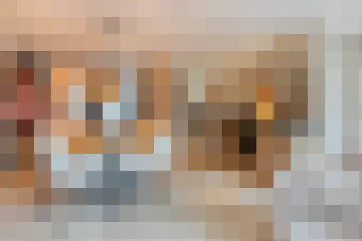 Molièrelaan 10 Eindhoven thumbnail 15