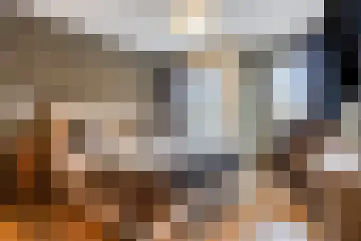 Molièrelaan 10 Eindhoven thumbnail 18