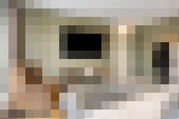 Molièrelaan 10 Eindhoven thumbnail 19