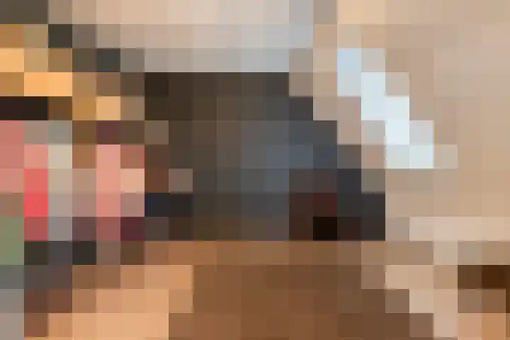 Molièrelaan 10 Eindhoven thumbnail 25