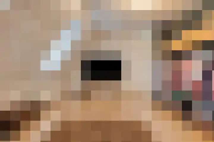 Molièrelaan 10 Eindhoven thumbnail 26