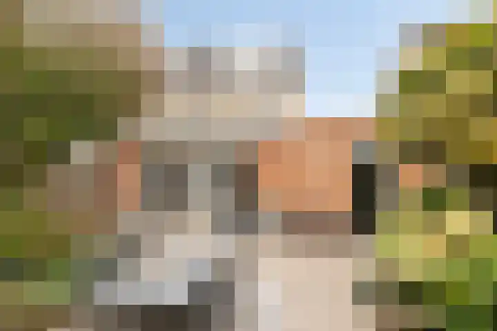 Molièrelaan 10 Eindhoven thumbnail 30