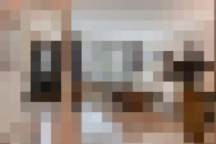 Molièrelaan 10 Eindhoven thumbnail 5