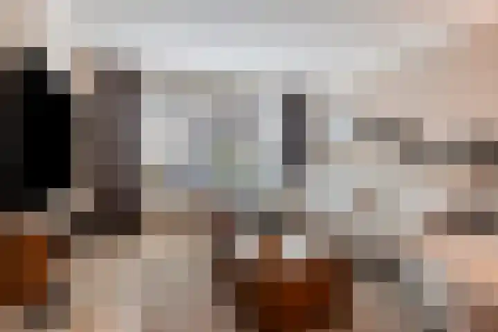 Molièrelaan 10 Eindhoven thumbnail 6