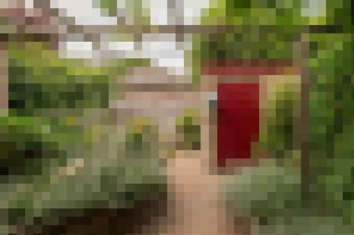 Molièrelaan 13 Utrecht thumbnail 32