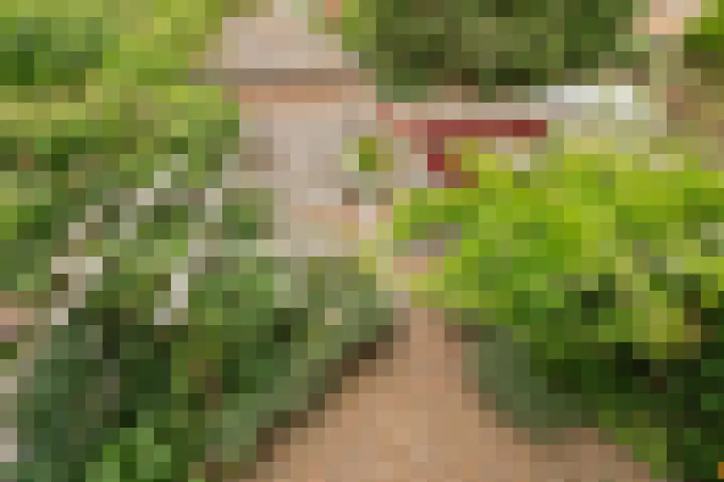 Molièrelaan 13 Utrecht thumbnail 33