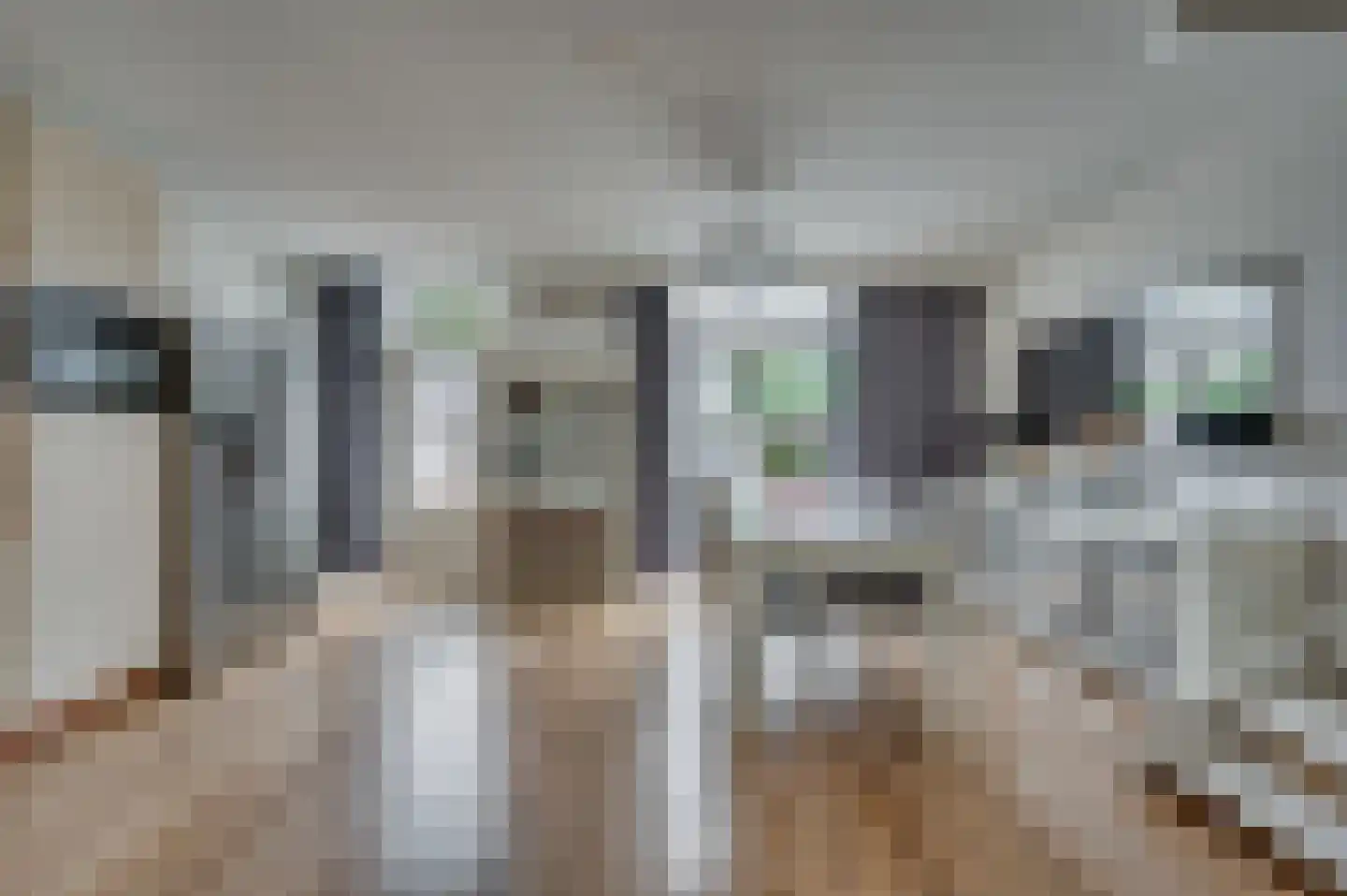 Molièrelaan 15 Venlo thumbnail 10