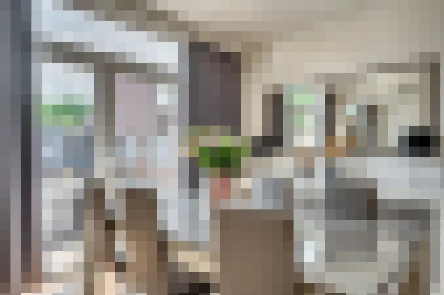 Molièrelaan 15 Venlo thumbnail 17