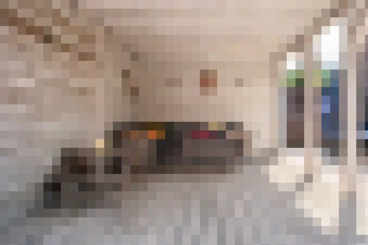 Molièrelaan 15 Venlo thumbnail 38