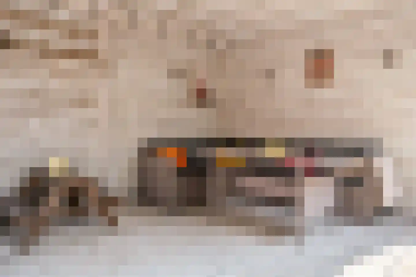 Molièrelaan 15 Venlo thumbnail 39