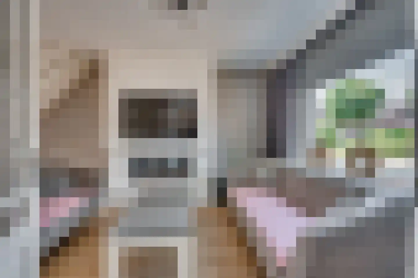 Molièrelaan 15 Venlo thumbnail 4