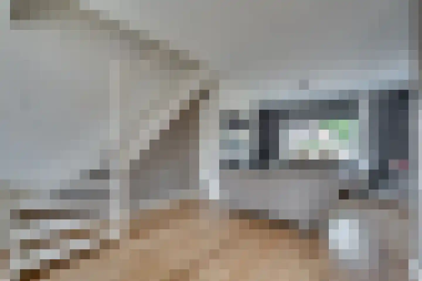 Molièrelaan 15 Venlo thumbnail 6