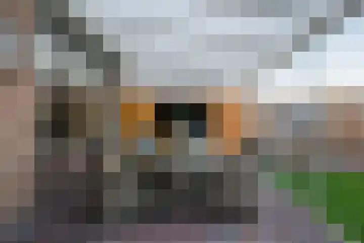 Molièrelaan 156 Venlo thumbnail 15