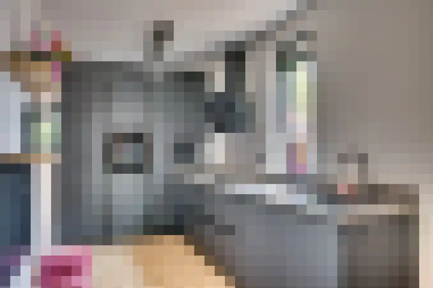 Molièrelaan 160 Venlo thumbnail 7