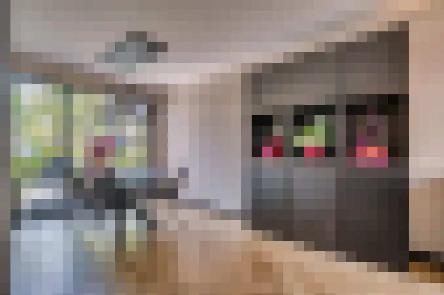 Molièrelaan 160 Venlo thumbnail 8