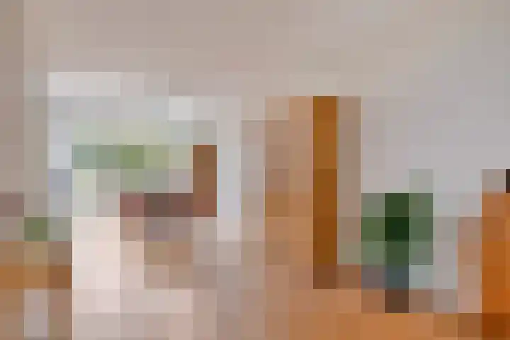 Molièrelaan 22 Eindhoven thumbnail 10