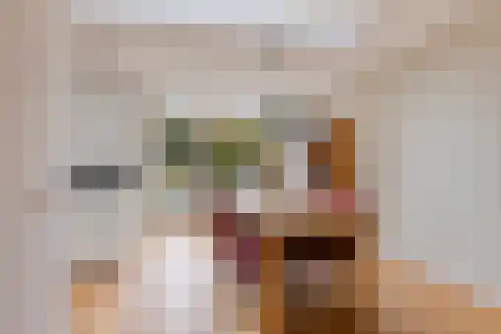Molièrelaan 22 Eindhoven thumbnail 11