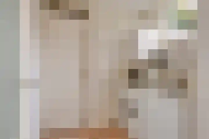 Molièrelaan 22 Eindhoven thumbnail 17