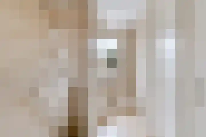 Molièrelaan 22 Eindhoven thumbnail 19