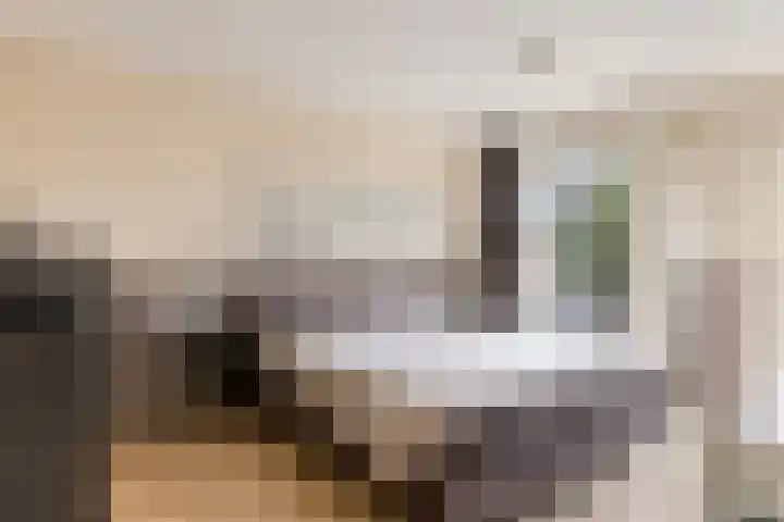 Molièrelaan 22 Eindhoven thumbnail 20