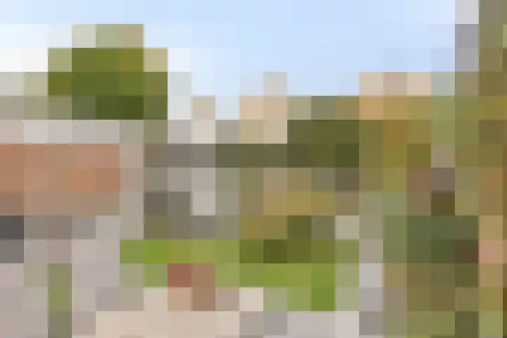 Molièrelaan 22 Eindhoven thumbnail 28