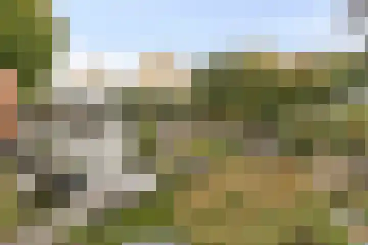 Molièrelaan 22 Eindhoven thumbnail 29