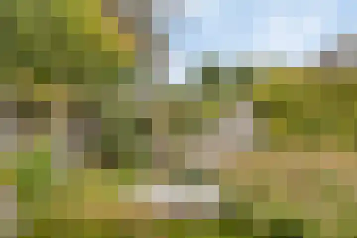 Molièrelaan 22 Eindhoven thumbnail 30