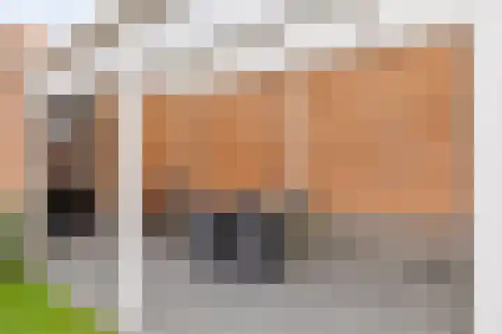Molièrelaan 22 Eindhoven thumbnail 31