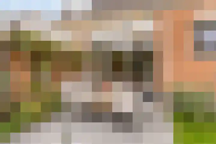 Molièrelaan 22 Eindhoven thumbnail 33