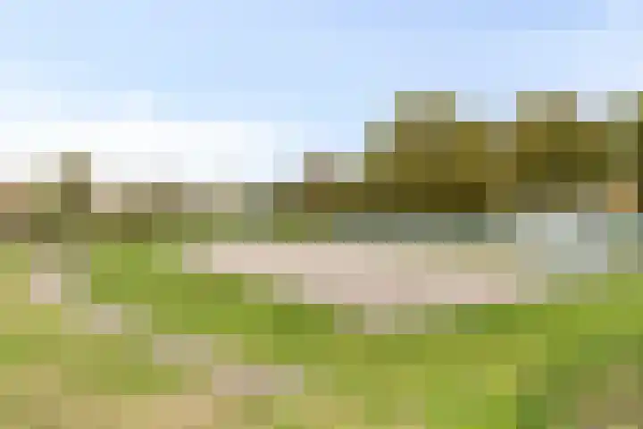 Molièrelaan 22 Eindhoven thumbnail 36