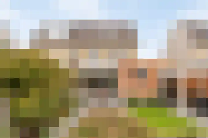 Molièrelaan 22 Eindhoven thumbnail 4