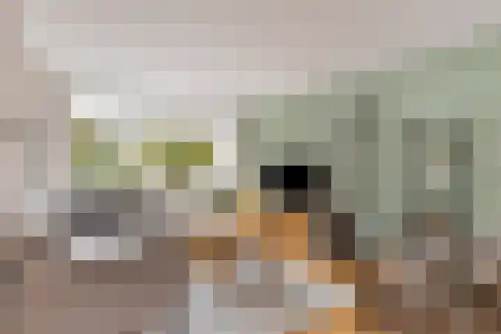 Molièrelaan 22 Eindhoven thumbnail 7