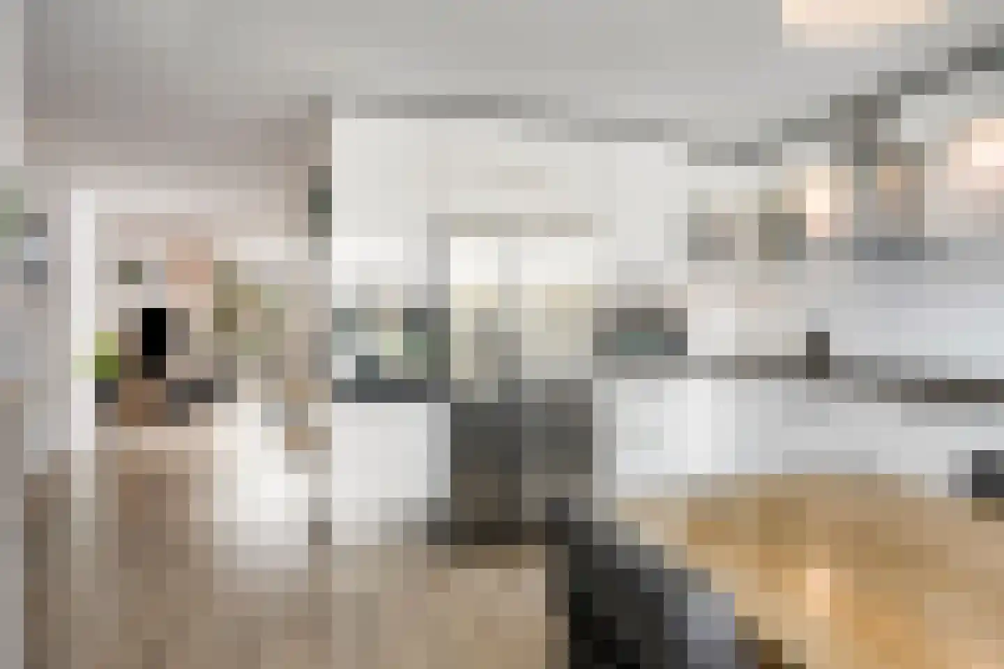 Molièrelaan 24 Eindhoven thumbnail 12