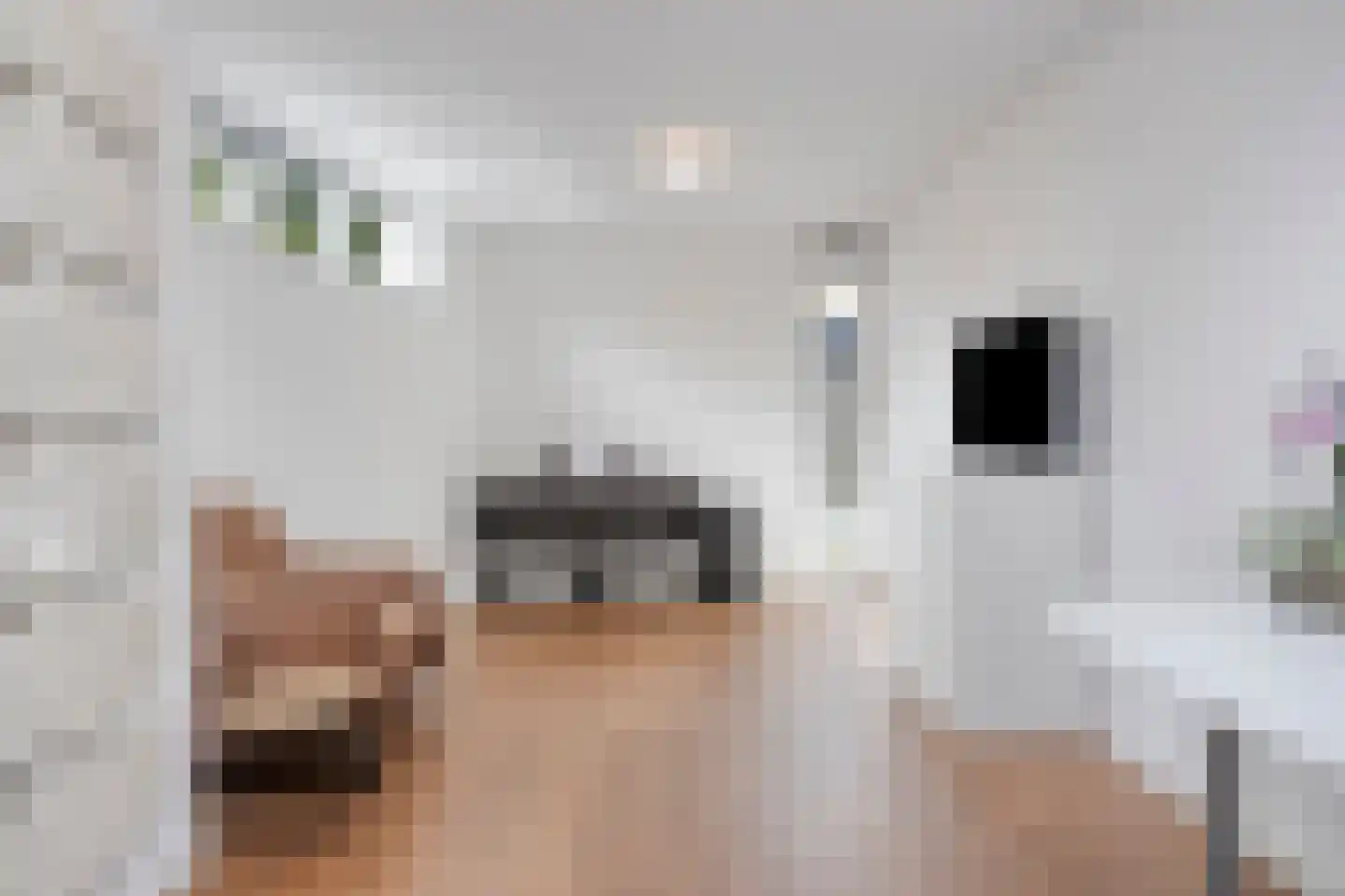 Molièrelaan 24 Eindhoven thumbnail 17