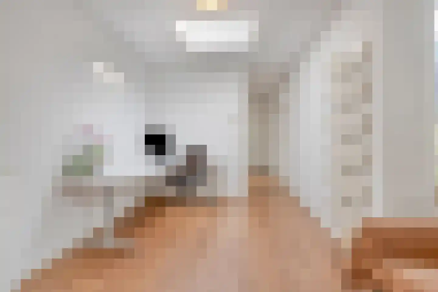 Molièrelaan 24 Eindhoven thumbnail 18