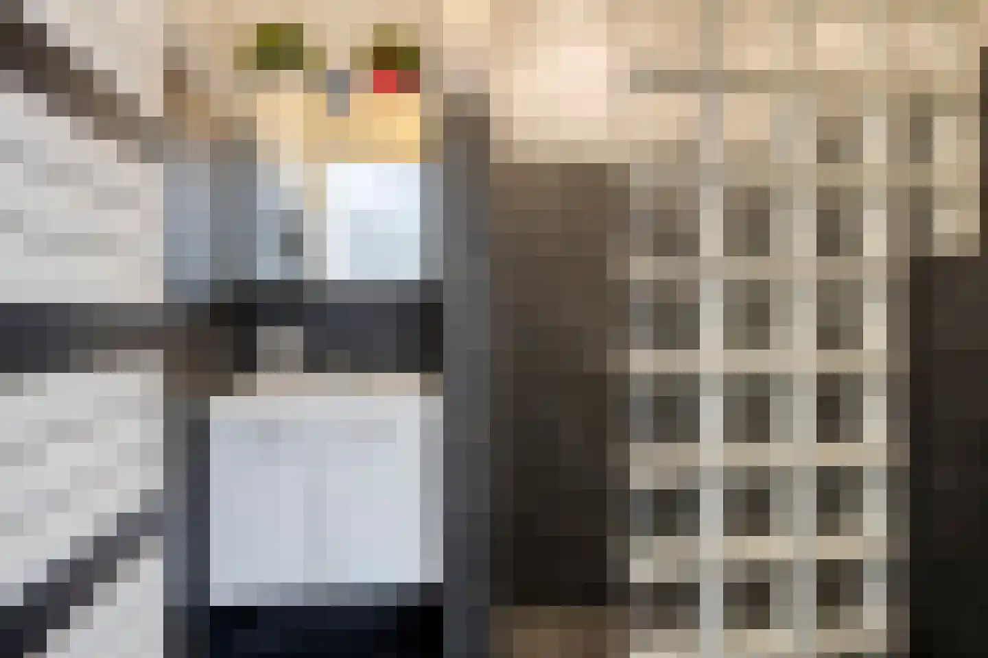 Molièrelaan 24 Eindhoven thumbnail 19