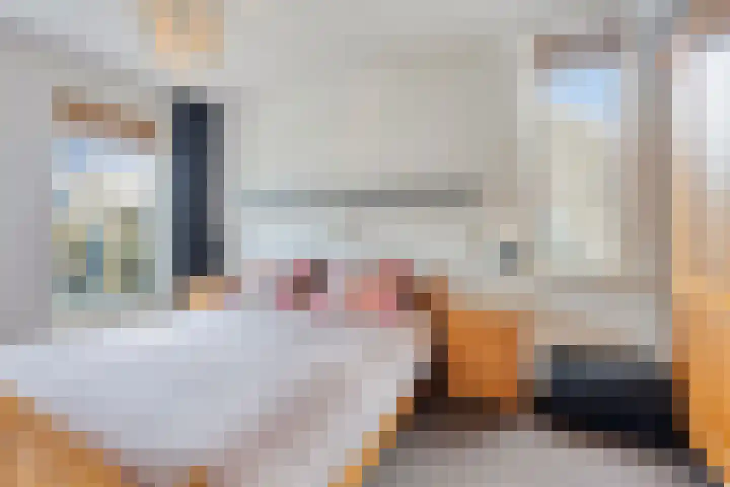 Molièrelaan 24 Eindhoven thumbnail 22