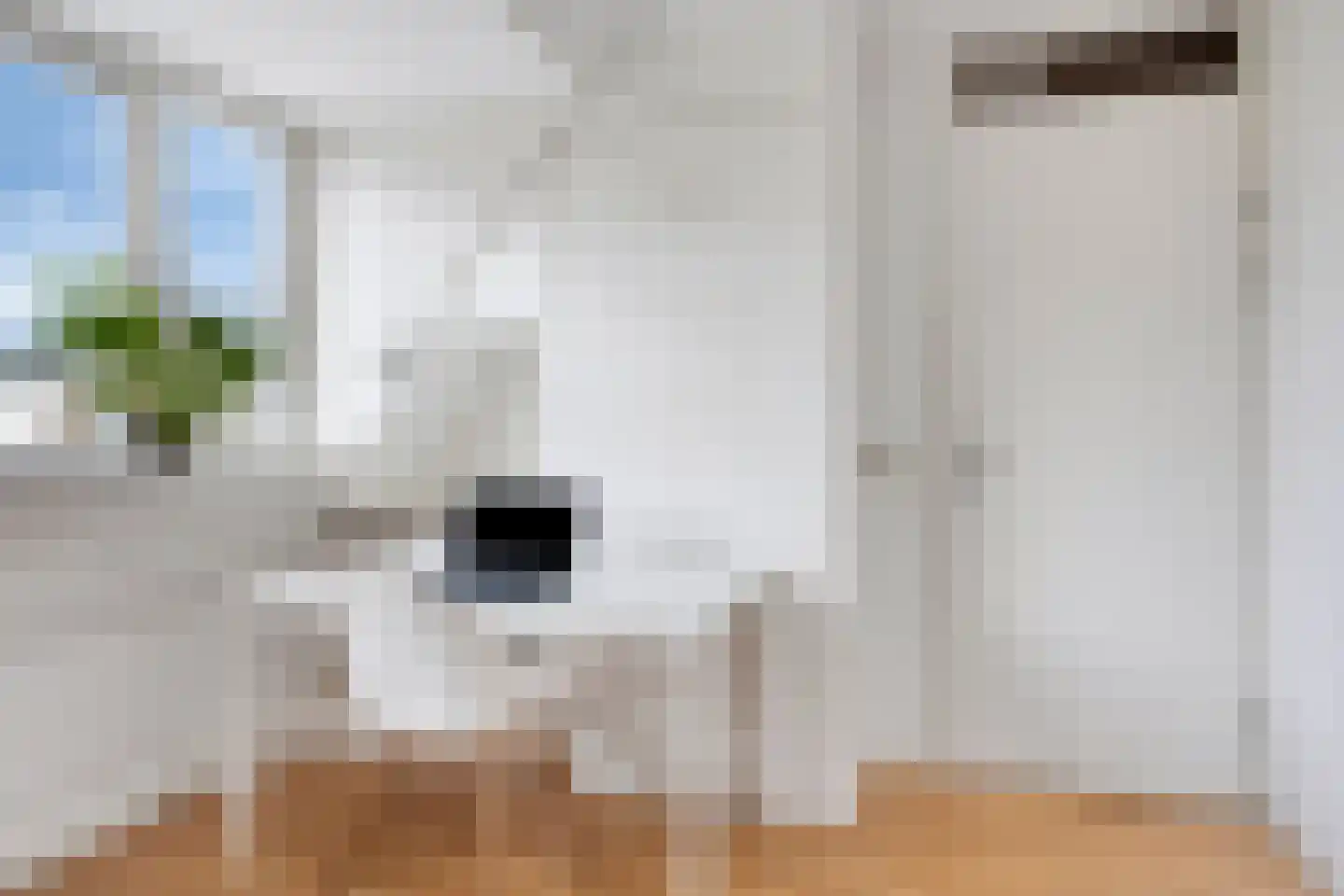 Molièrelaan 24 Eindhoven thumbnail 32