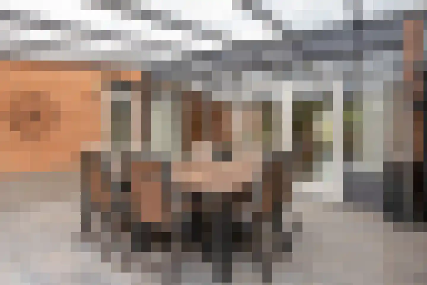Molièrelaan 24 Eindhoven thumbnail 34