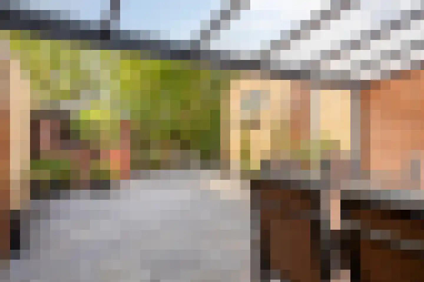 Molièrelaan 24 Eindhoven thumbnail 36
