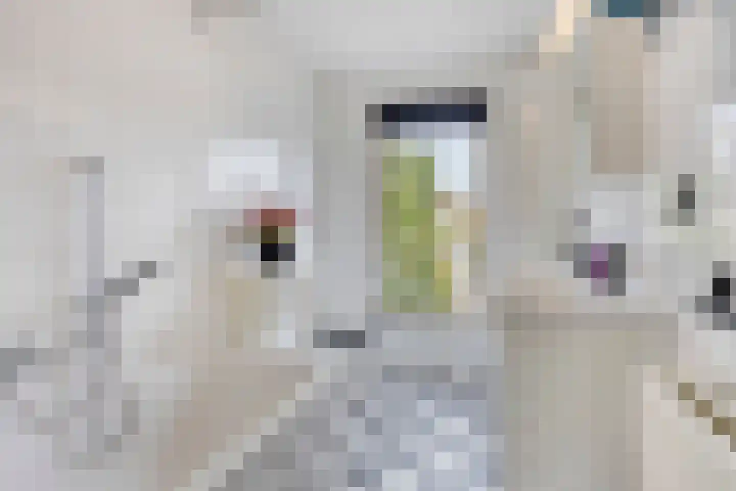 Molièrelaan 24 Eindhoven thumbnail 5