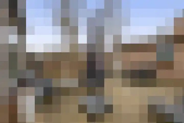 Molièrelaan 96 Venlo thumbnail 18