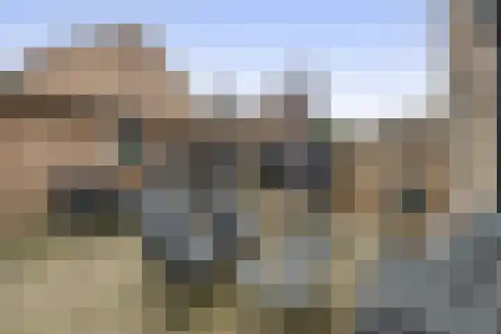 Molièrelaan 96 Venlo thumbnail 19