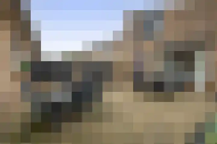 Molièrelaan 96 Venlo thumbnail 20