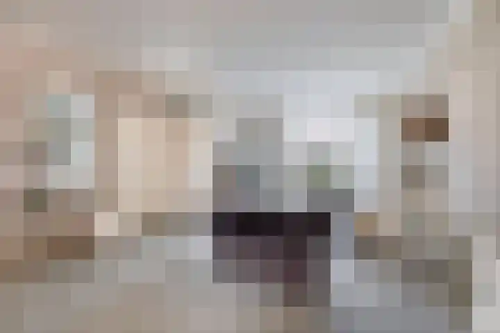 Molièrelaan 96 Venlo thumbnail 4
