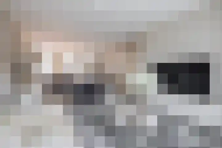 Molièrelaan 96 Venlo thumbnail 6
