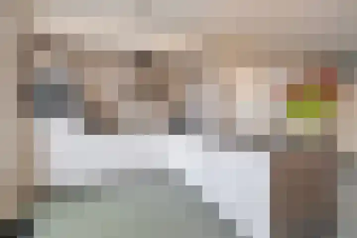 Molièrelaan 96 Venlo thumbnail 8