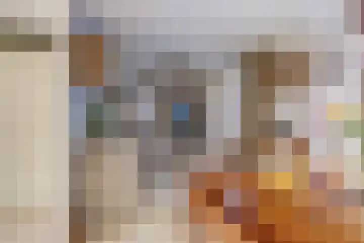 Molièrelaan 98 Eindhoven thumbnail 16